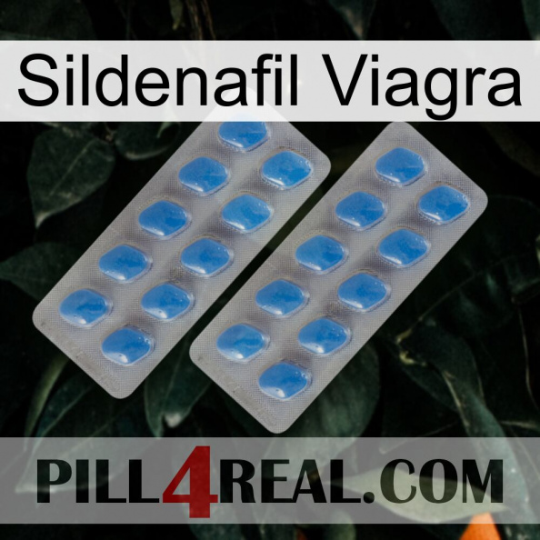 Sildenafil Viagra 23